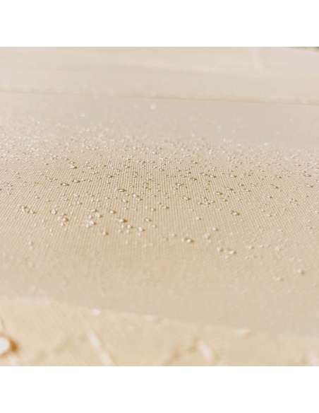 Solaria +Plus Stock – Refurbished Sail Like New