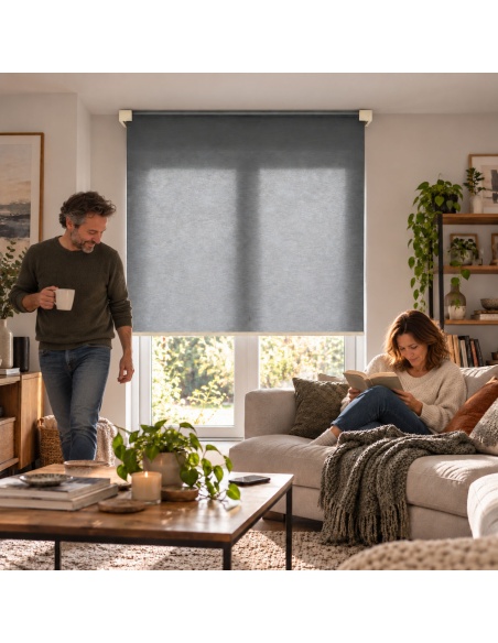 Indoor Light-Filtering Roller Shade, Recta Horizon